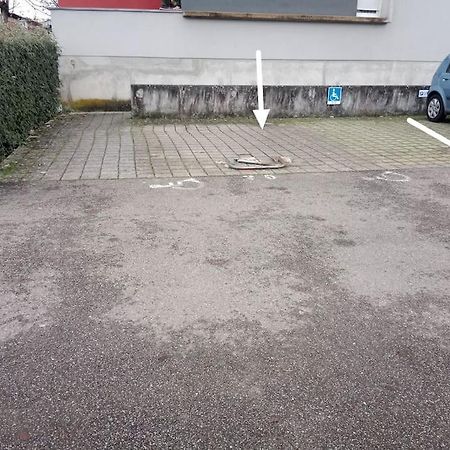 Tres Bel Appartement Rez De Jardin Appart De 53M2. Pfastatt Eksteriør billede