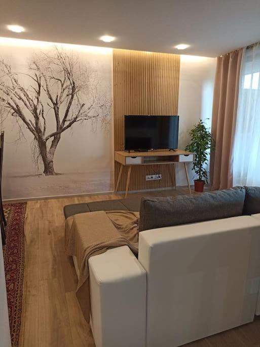 Tres Bel Appartement Rez De Jardin Appart De 53M2. Pfastatt Eksteriør billede