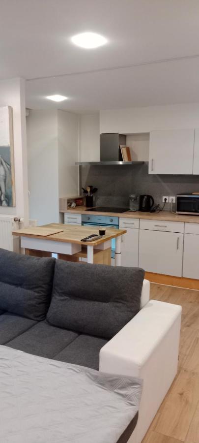 Tres Bel Appartement Rez De Jardin Appart De 53M2. Pfastatt Eksteriør billede
