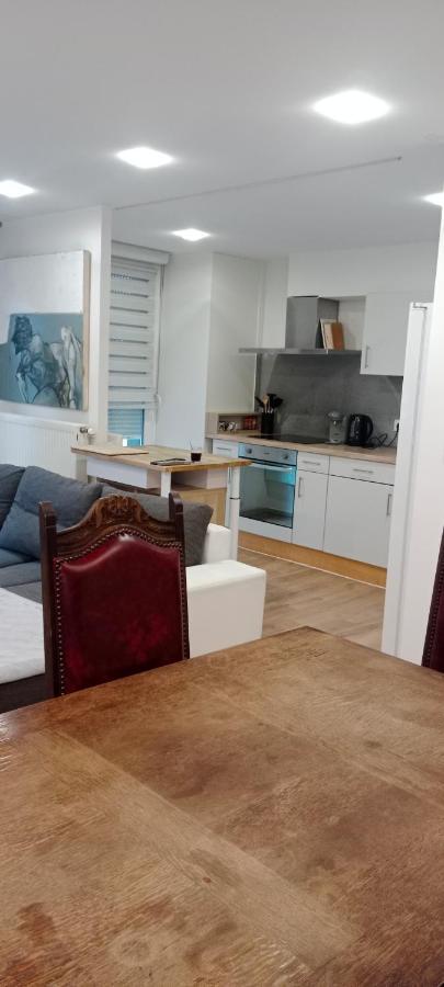 Tres Bel Appartement Rez De Jardin Appart De 53M2. Pfastatt Eksteriør billede